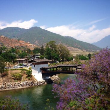 C:\Users\TRINHNGOC\Downloads\2014-04 Punakha Dzong, Bhutan.jpg
