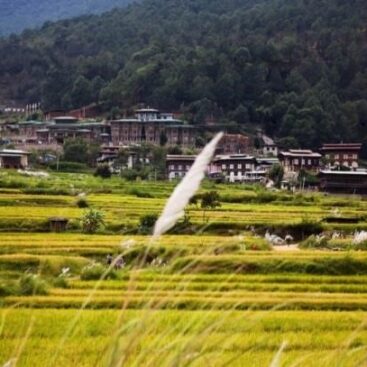 http://www.travelingsolemates.com/wp-content/uploads/2013/11/02-Hike-to-Chimi-Lakhang-Punakha-Valley-Bhutan.jpg