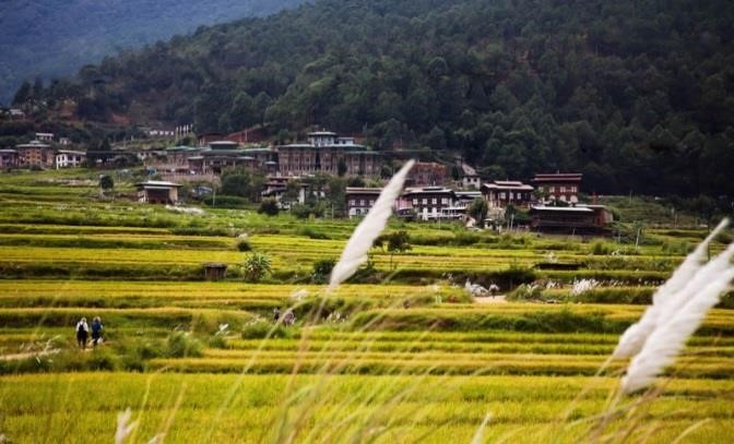 http://www.travelingsolemates.com/wp-content/uploads/2013/11/02-Hike-to-Chimi-Lakhang-Punakha-Valley-Bhutan.jpg